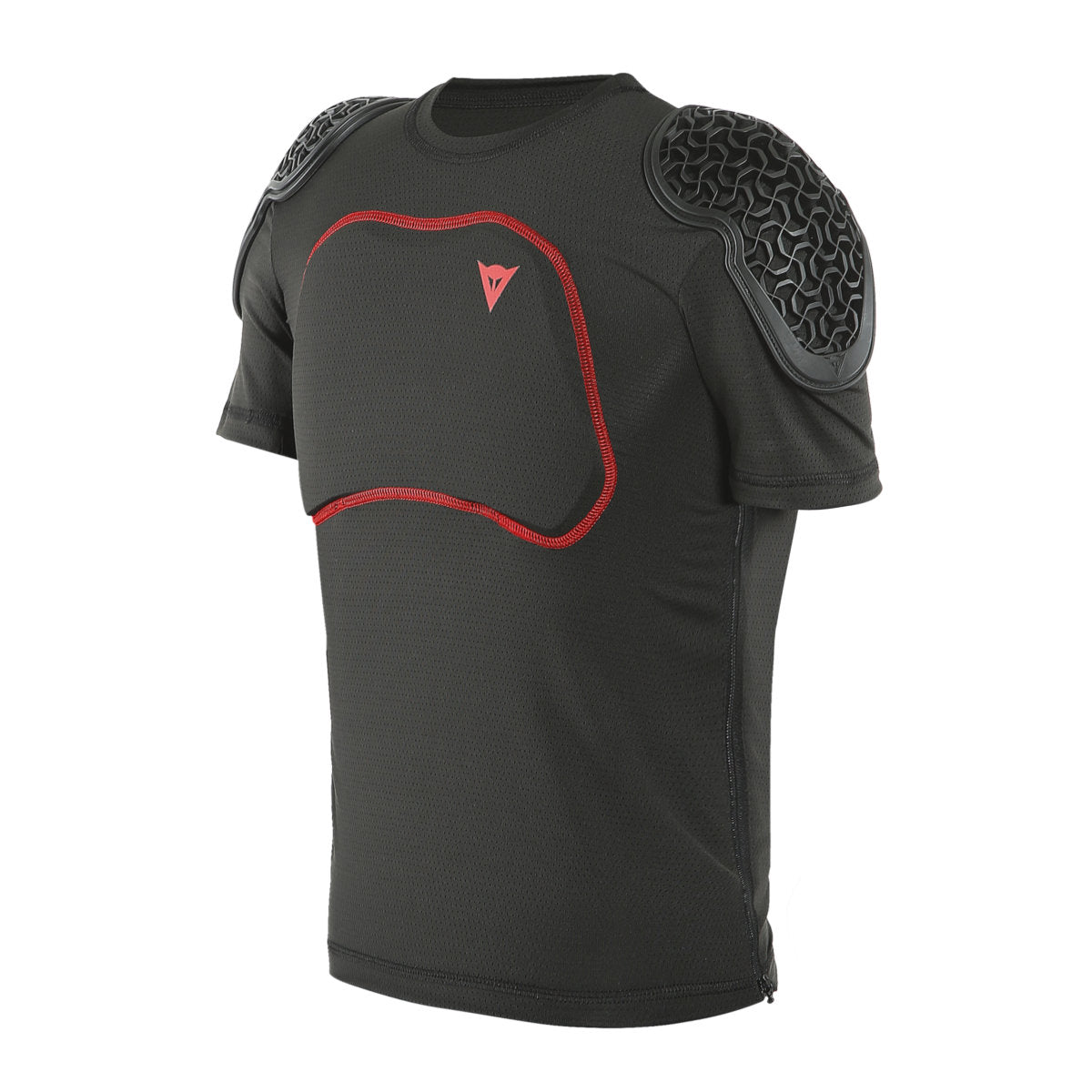 203879731-schwarz-001-S