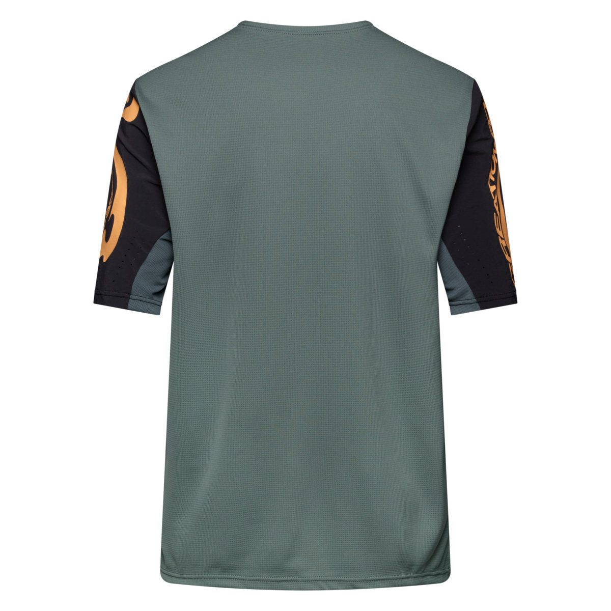 38389-rosa-175-S