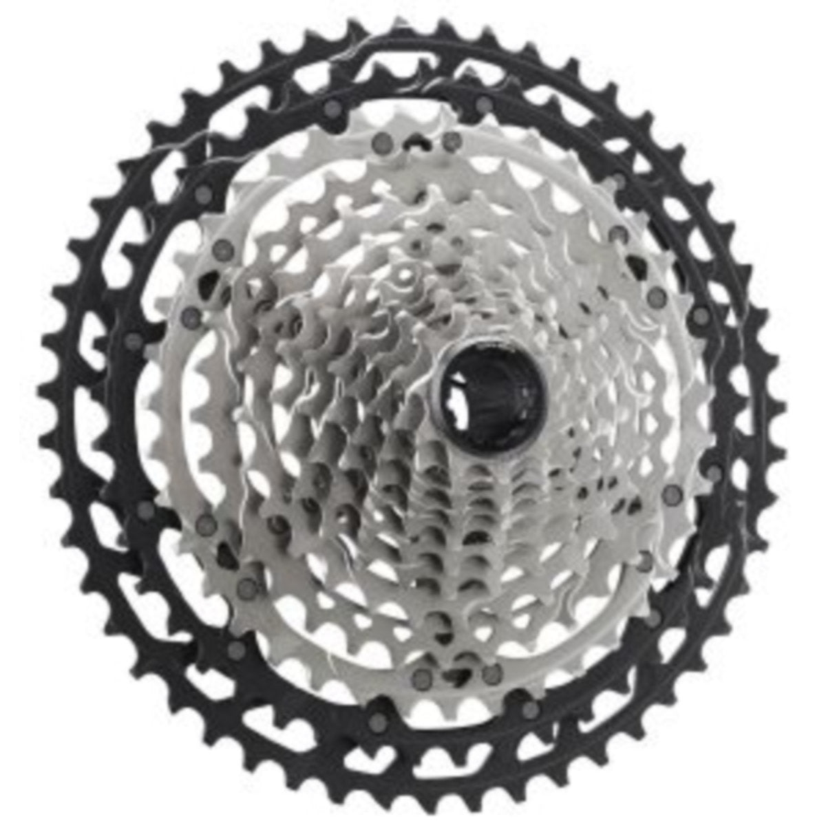 ICSM8100051