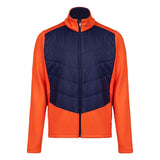 K00818-orange-K0081801-128