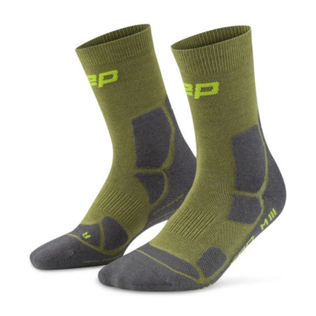 WP8CKT-grün-779-III