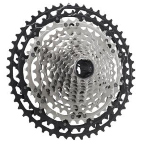 ICSM8100051
