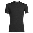 Icebreaker Anatomica SS Crewe T-Shirt Herren | grau | Größe L