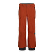 O'Neill Cargo Hose Herren | braun | Größe L