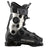 Salomon S/Pro Supra Dual Boa 105W Skischuhe Damen (2025/2026) | schwarz | Größe 23.0/23.5