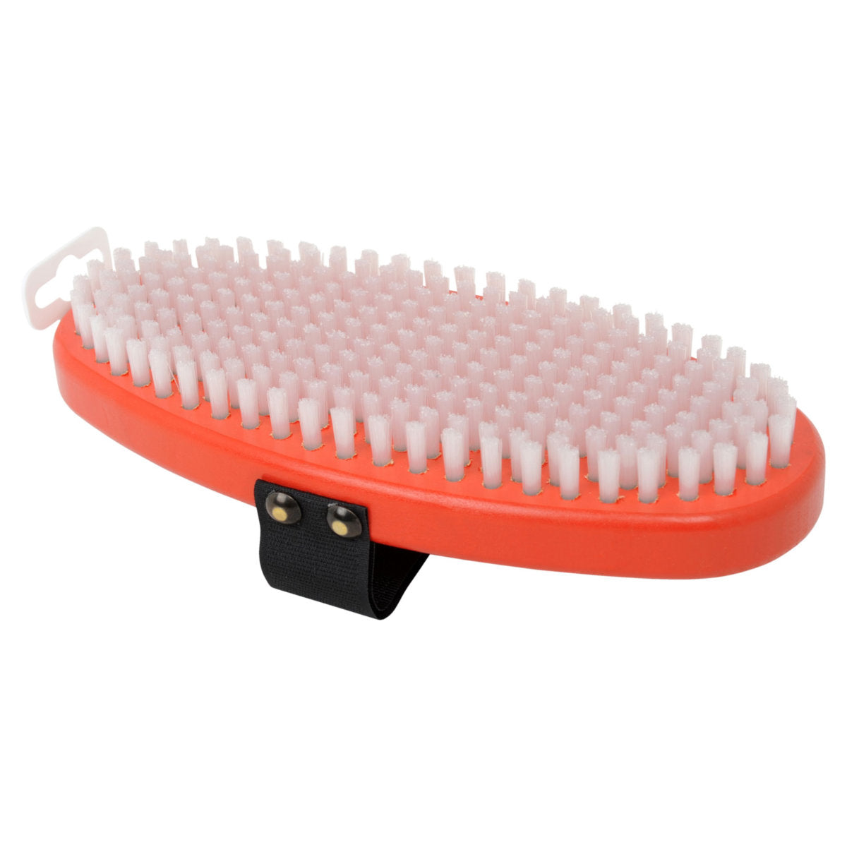 Swix Oval Nylon Bürste